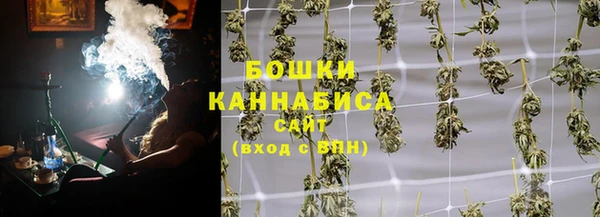 МДПВ Каменногорск