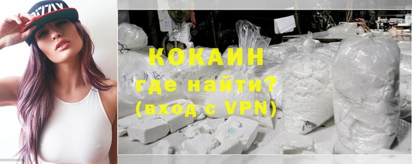 дмт Каменка