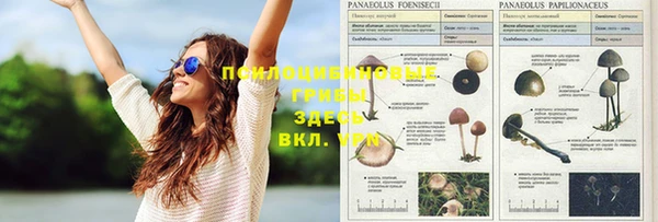 кокс Иннополис