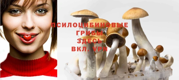 МДПВ Каменногорск