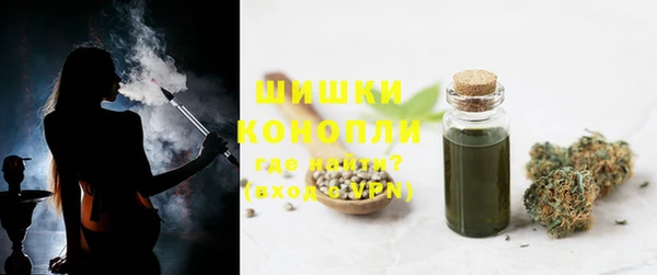 твердый Инсар