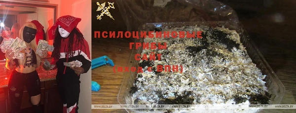твердый Инсар