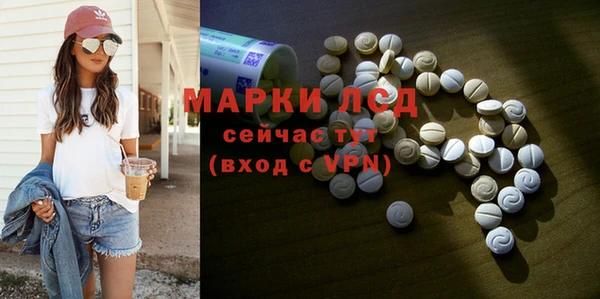 дмт Каменка
