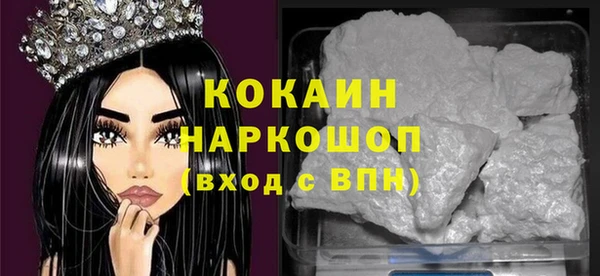 дмт Каменка