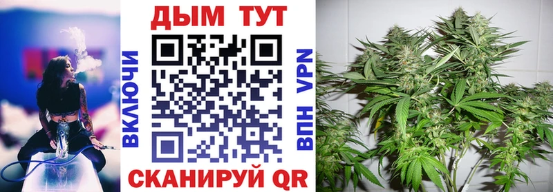 Каннабис SATIVA & INDICA  Купить  Николаевск-на-Амуре 
